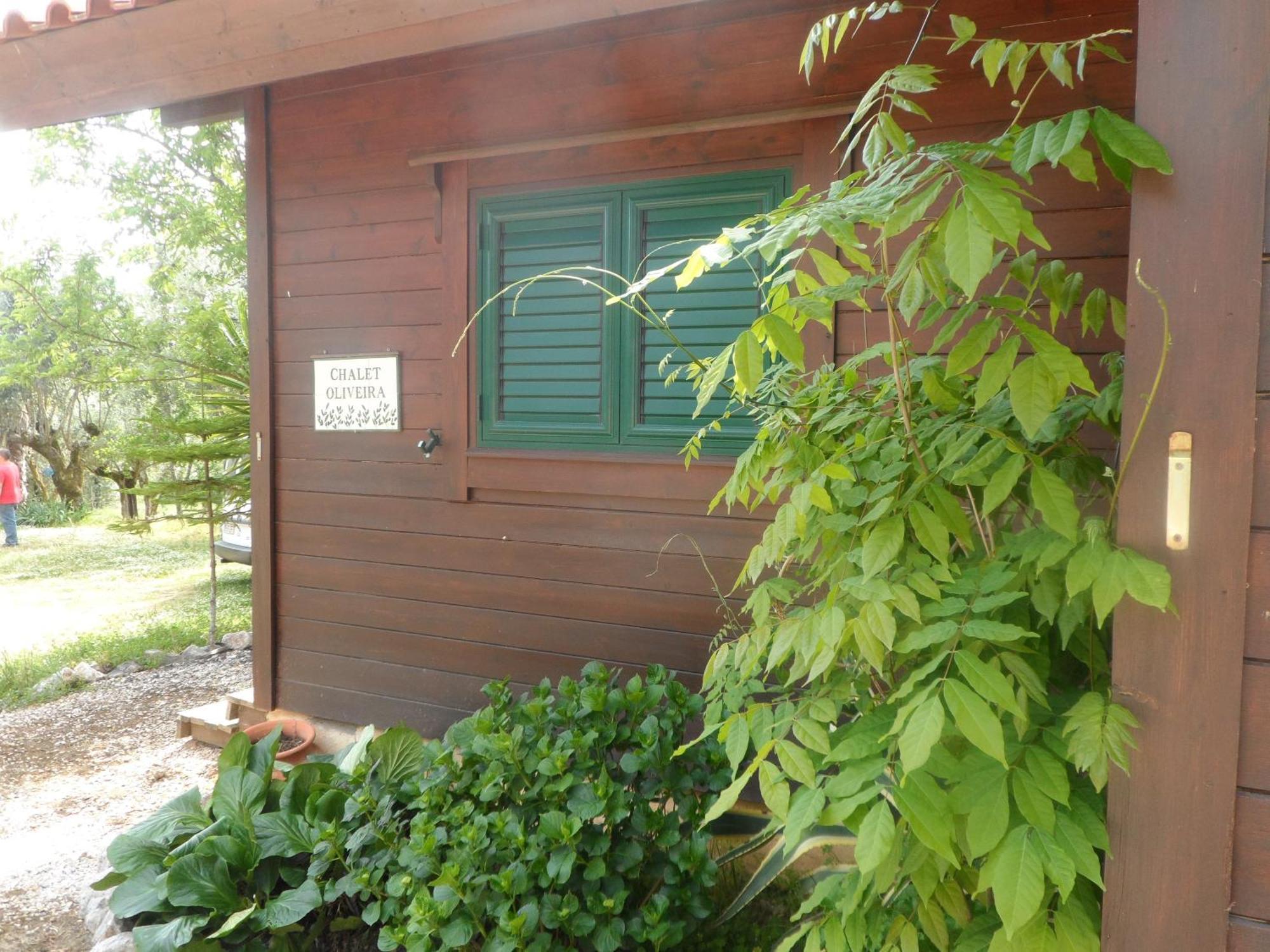 Redondo Lodges Junceira Rum bild