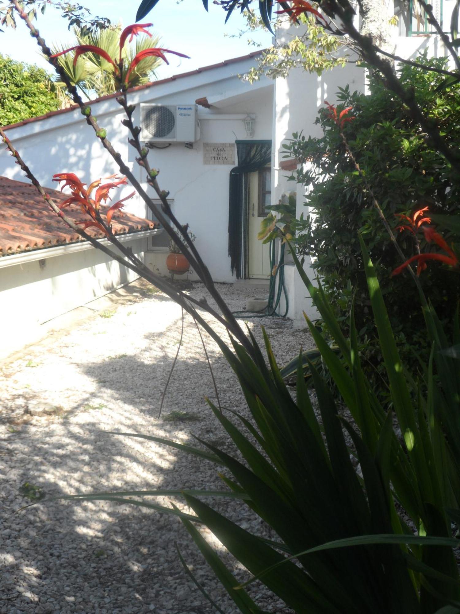 Redondo Lodges Junceira Rum bild