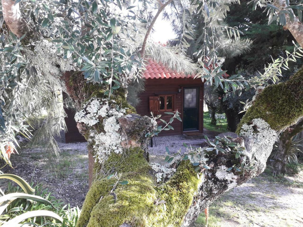 Redondo Lodges Junceira Exteriör bild